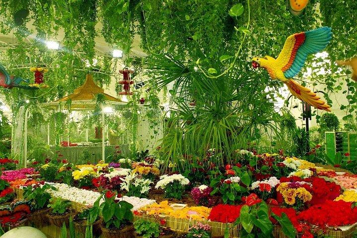Skip the Line: Butterfly Garden Ticket With Transfer