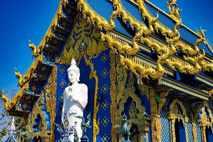Chiang Mai to White & Blue Temple, Black Museum & Golden Triangle