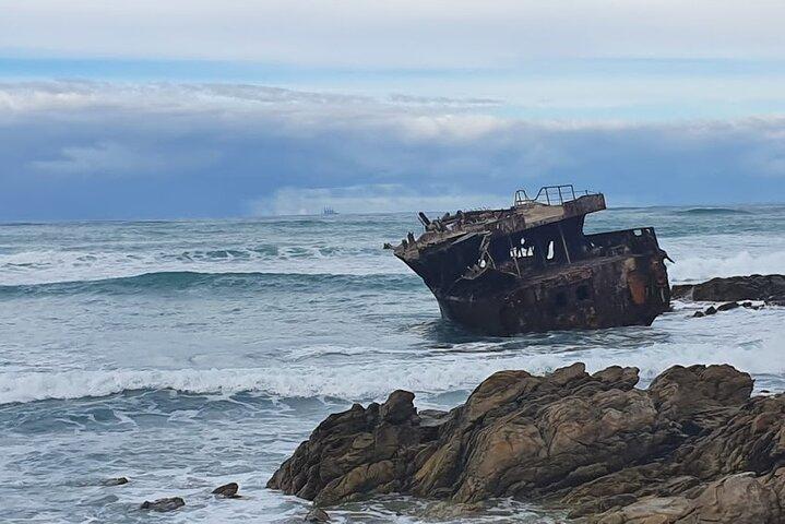 Cape Agulhas Tour