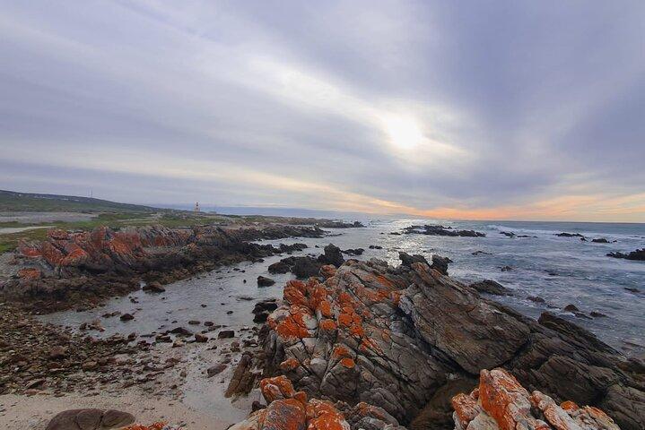 Cape Agulhas Tour