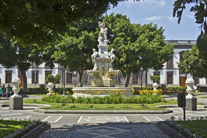Santa Cruz, Laguna and Laurisilva Forest Tour