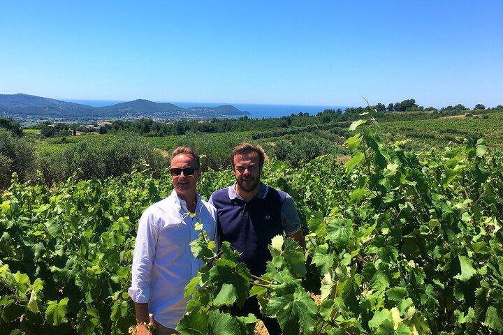 Full-day Wine Tour around Bandol & Cassis from Marseille