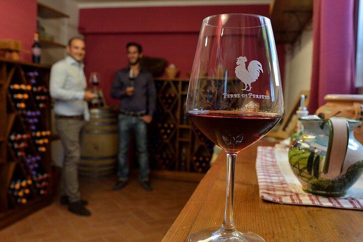 4 Wines & 2 Olive Oils Tasting in Chianti Winery with Tour