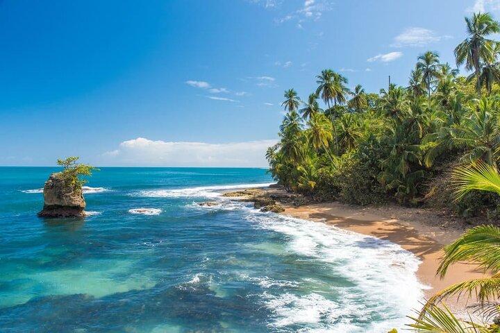 Shuttle Service from Puerto Viejo to San Jose, Costa Rica.