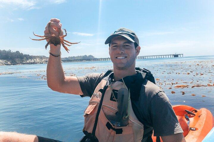 Gaviota Coast Kayak Tour Near Santa Barbara (3.5 Hours)