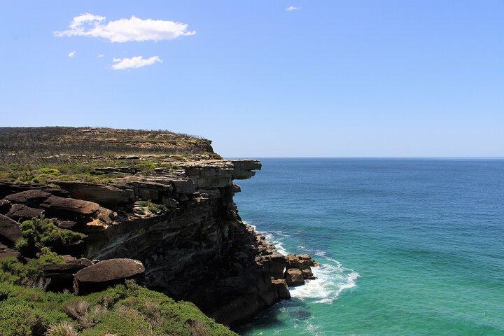 Royal National Park Private Tour
