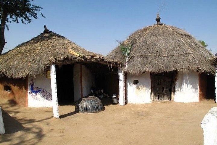 Private Half- Day Bishnoi Village Safari Day Tour In Jodhpur