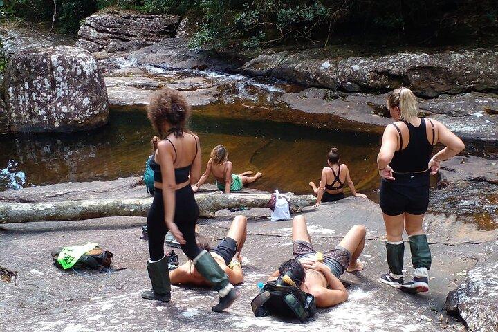 Sinharaja Rain Forest Bird Watching Guided Private Tour