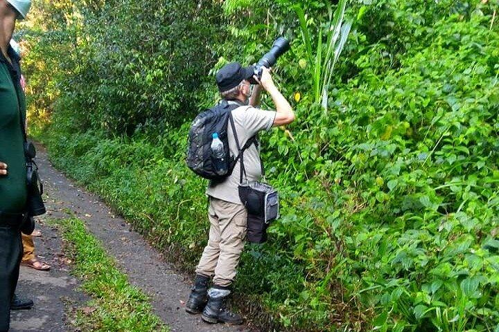 Sinharaja Rain Forest Bird Watching Guided Private Tour
