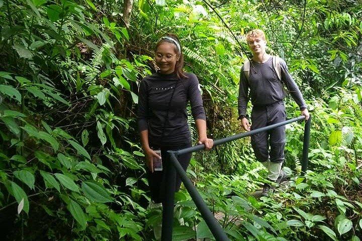 Sinharaja Rain Forest Bird Watching Guided Private Tour