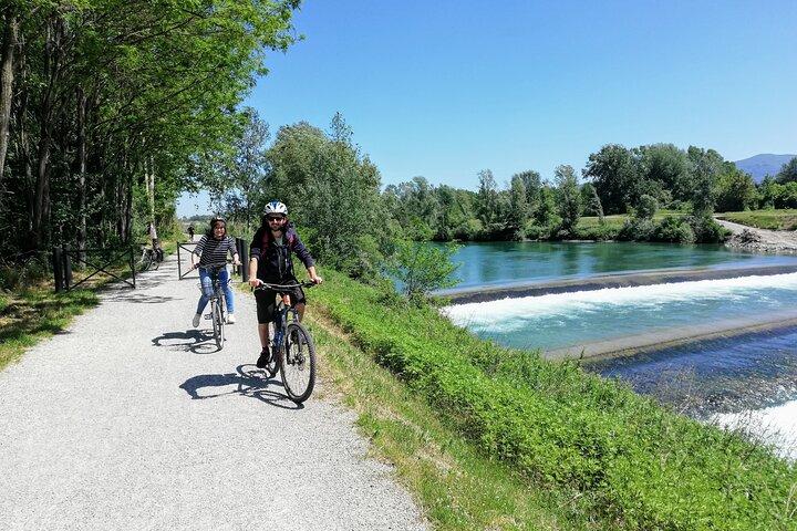 Lucca: self-guided bike tour + picnic in the vineyards