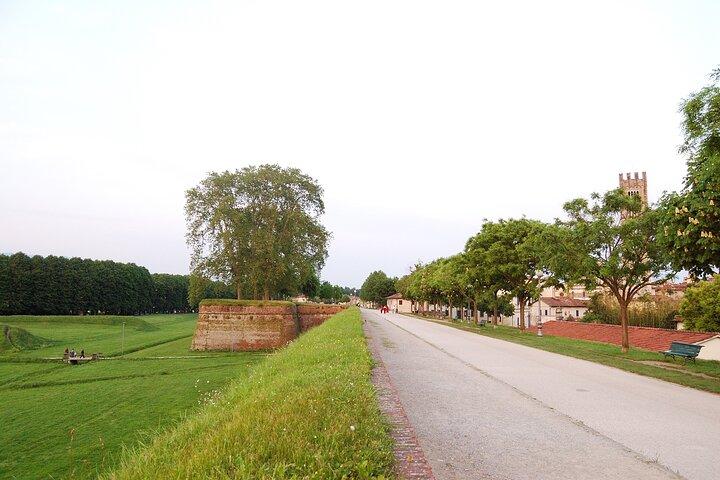 Lucca: self-guided bike tour + picnic in the vineyards