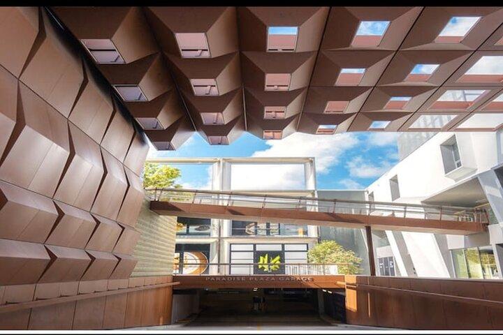 Hidden World of Miami Design District - small group tour!