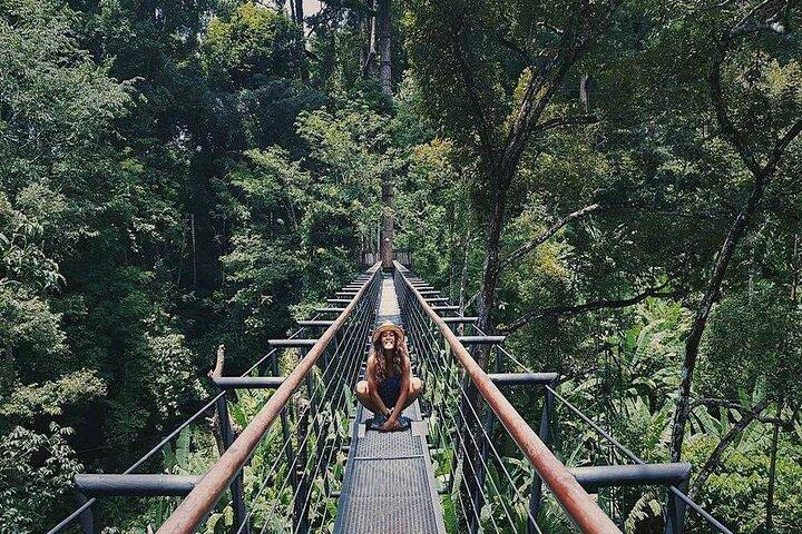 Hanuman World Zipline & Skywalk Phuket