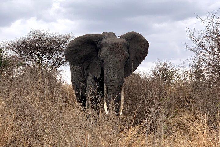 3-Day Adventure Camping Safari to Tarangire, Ngorongoro Crater, and Lake Manyara
