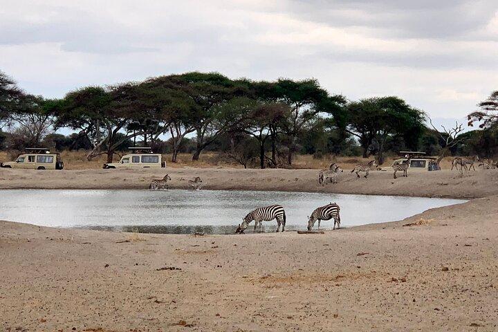 3-Day Adventure Camping Safari to Tarangire, Ngorongoro Crater, and Lake Manyara