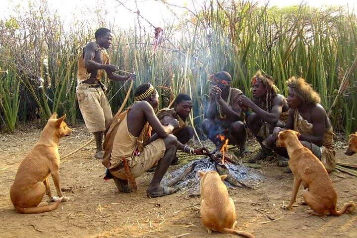 3-Days Private Lodge Safari to Lake Eyasi and Ngorongoro Crater