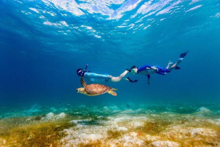 Snorkeling with Turtles and Cenotes