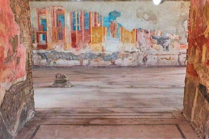 Wheelchair Accessible Skip-the-lines Tour of Pompeii Including all Highlights