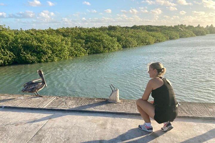 Amazing Tour in Sian Kaan biosphere with Transportation from Cancún!