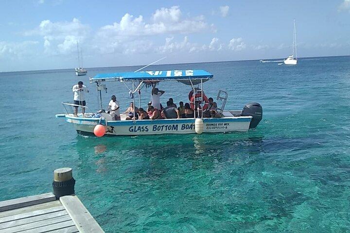 Cozumel El Cielo Tour by Boat from Playa del Carmen & Transfer