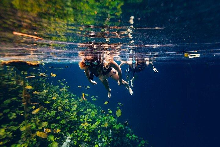 Tour Xenotes Advenure From Cancun & Playa del Carmen