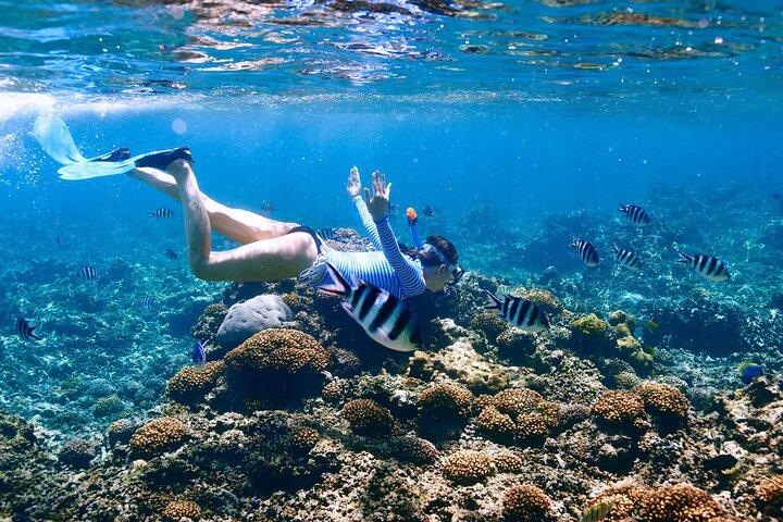 El Cielo the Breathtaking Snorkel Tour of Cozumel Cielito Beach & Lunch Included
