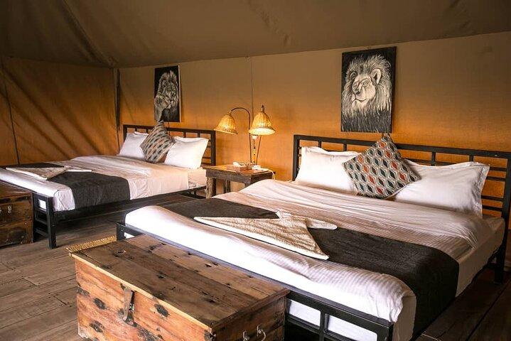 3-Day Tanzania Group Joining Safari
