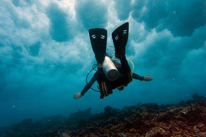 Scuba Diving (1st time) in Cancun Beginner's WELCOMED!