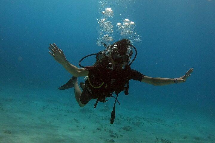 Scuba Diving (1st time) in Cancun Beginner's WELCOMED!