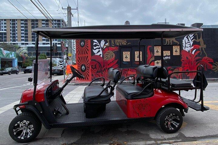 Wynwood Street Art Tour - Artist Lead -VIP Cart