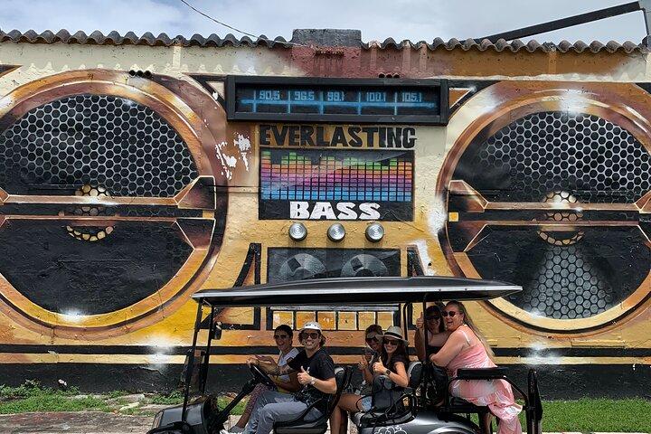 Wynwood Street Art Tour - Artist Lead -VIP Cart