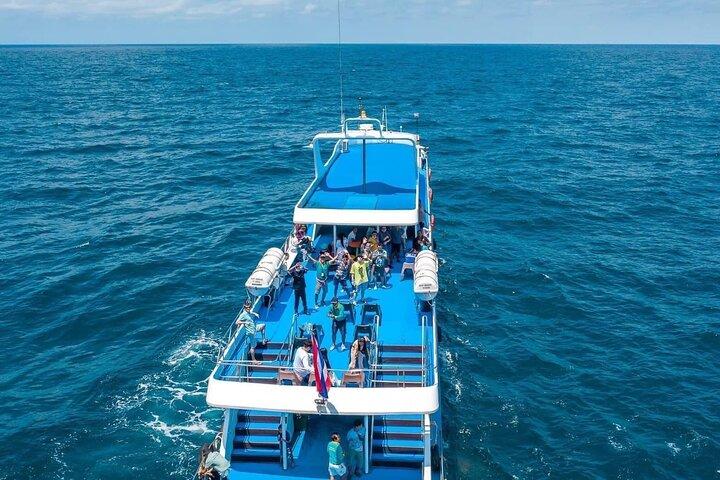 Phuket To Phi Phi Island By Phi Phi Cruiser - Include Pickup Transfer