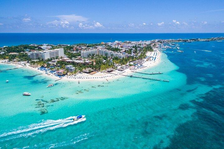 Live the experience of Swimming with the Whale Shark in Cancun