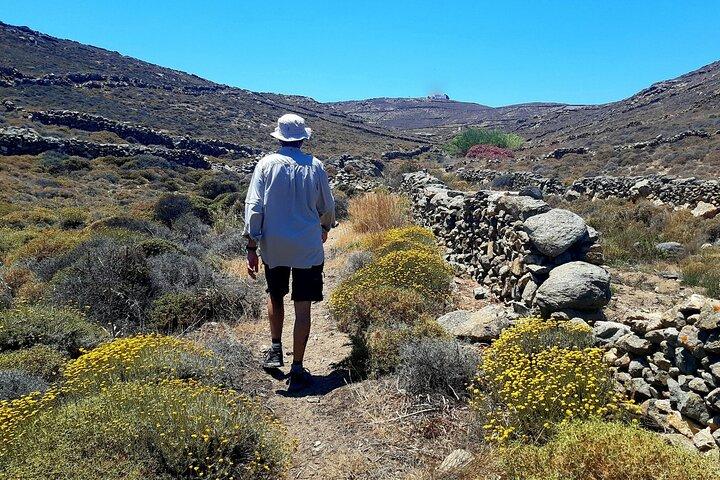 Mykonos Half-Day Hiking Adventure