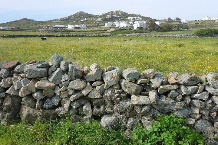 Mykonos Half-Day Hiking Adventure