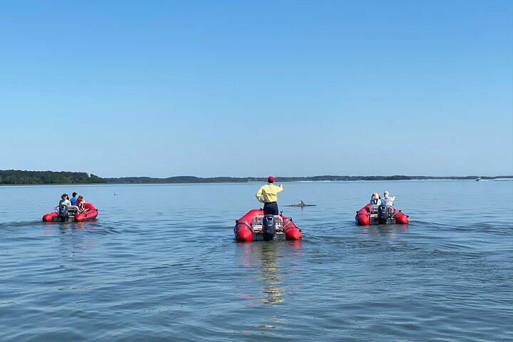 Hilton Head Guided Dolphin Watching & Sightseeing Tour via Mini Boat