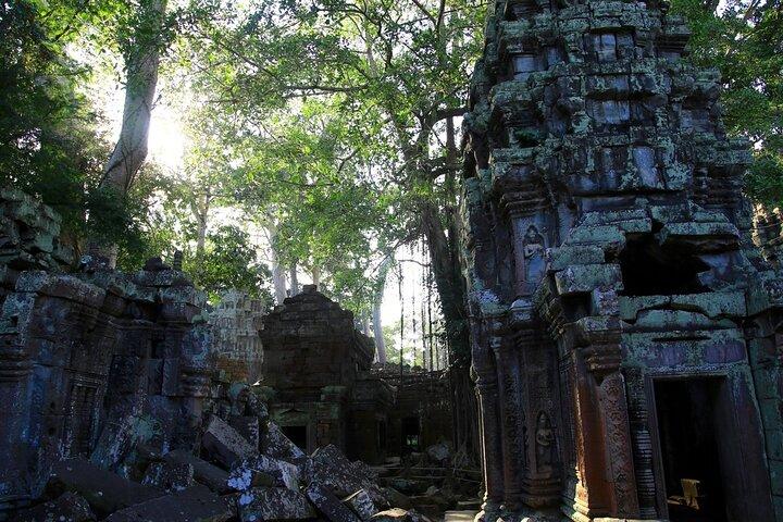 7 Hours Private Angkor Ultimate Tour in Cambodia