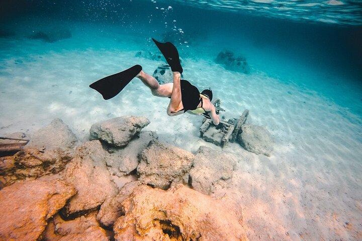 Discover Isla Contoy & Isla Mujeres: Nature, Snorkel & Beaches