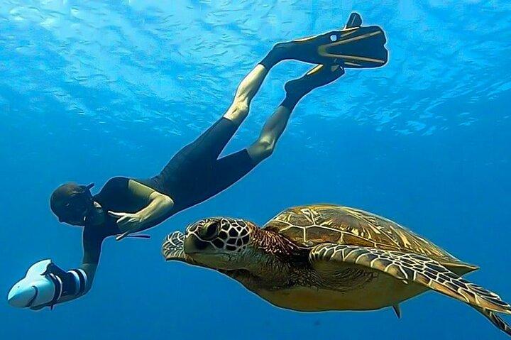 Sea Scooter Snorkel Tour - Guided Ocean Safari + Reef and Lagoon Adventure