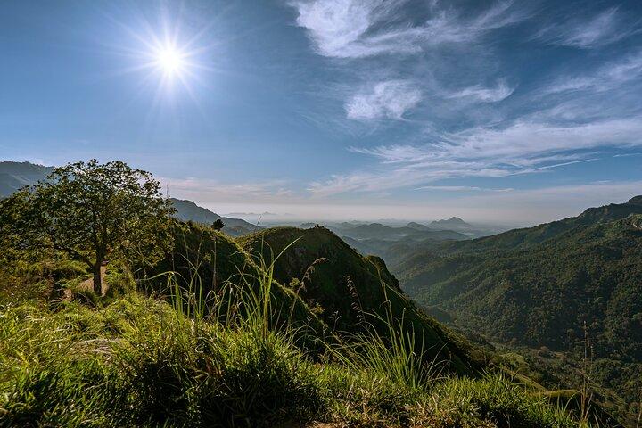 Discover Ella - Ella Rock, Little Adam's Peak & Nine Arch Bridge