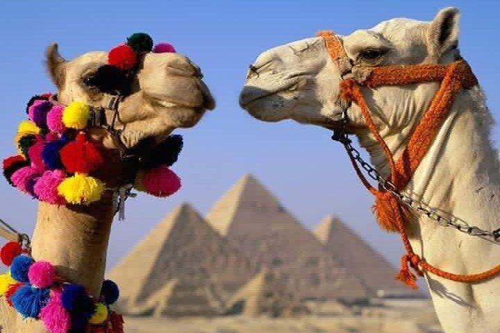 Ramses Tour 3-Days : Giza Pyramids ,Sakkara , Memphis ,City tour & Alexandria