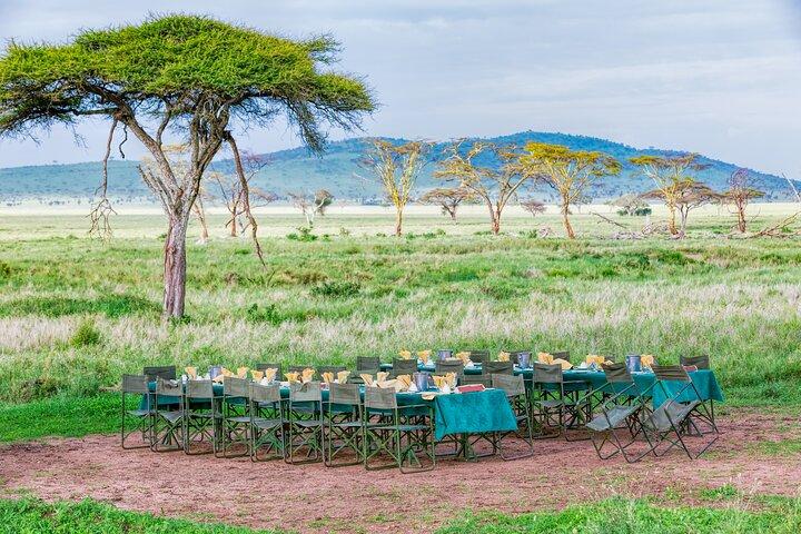 6 Day Private Camping Safari
