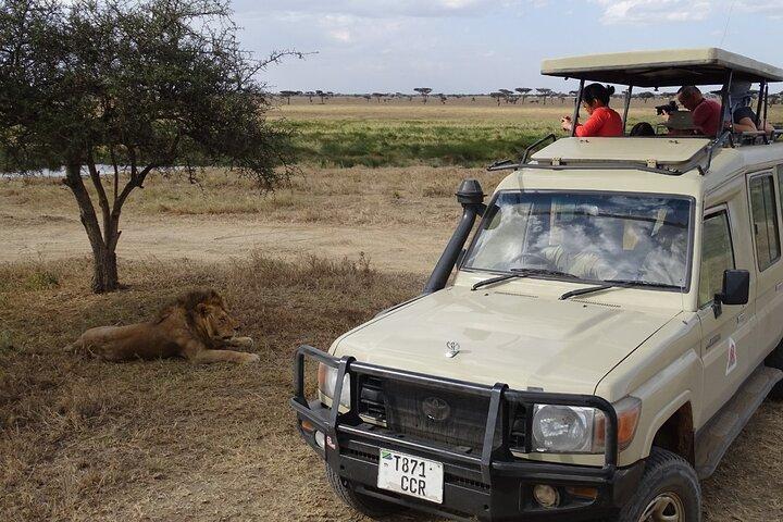 7 Days Private Jeep Safari Tour in 5 Star Lodges from Nairobi