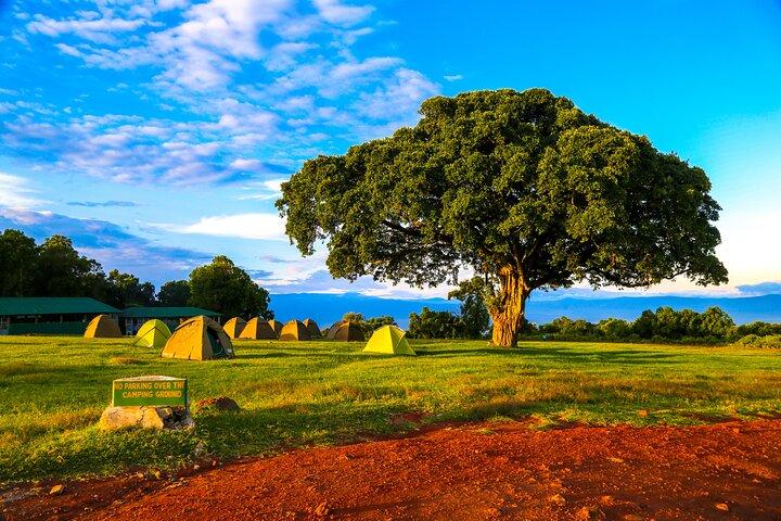6 Day Private Camping Safari