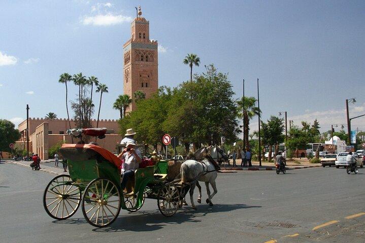 Marrakech Half-Day Private Tour with a Licensed Guide