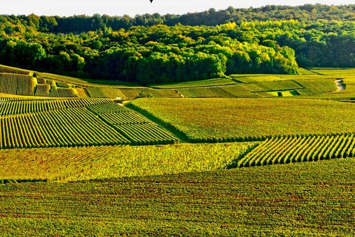 Taittinger Champagne Tastings Cellars Private trip from Paris