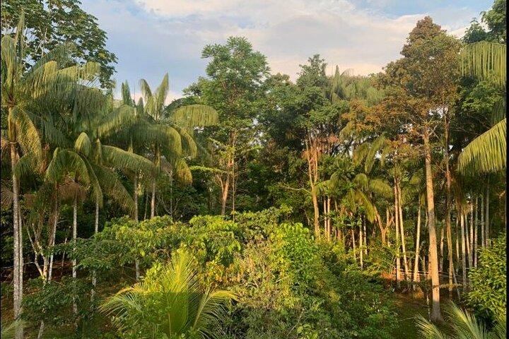Wild Amazonas Adventure 4-Day Tour
