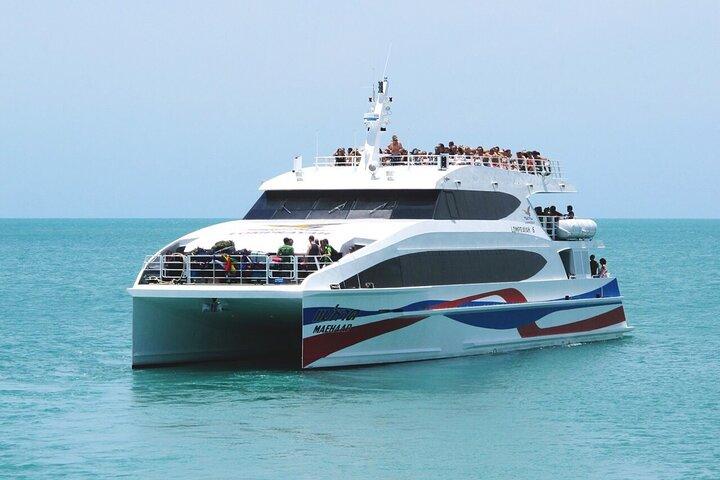 Shared Transfer from Phuket to Koh Tao by Coach and Catamaran