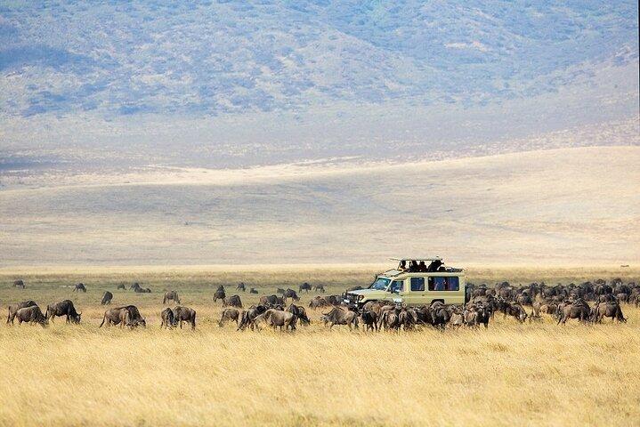 2-Day Zanzibar to Ngorongoro Experience of a Life Time